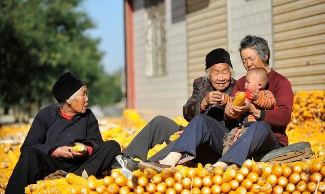 拉尼娜|今冬偏冷或偏暖？官方给出预测，“拉尼娜”来袭，农民早做打算！