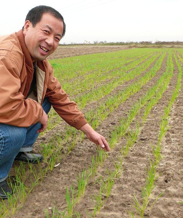 拉尼娜|今冬偏冷或偏暖？官方给出预测，“拉尼娜”来袭，农民早做打算！