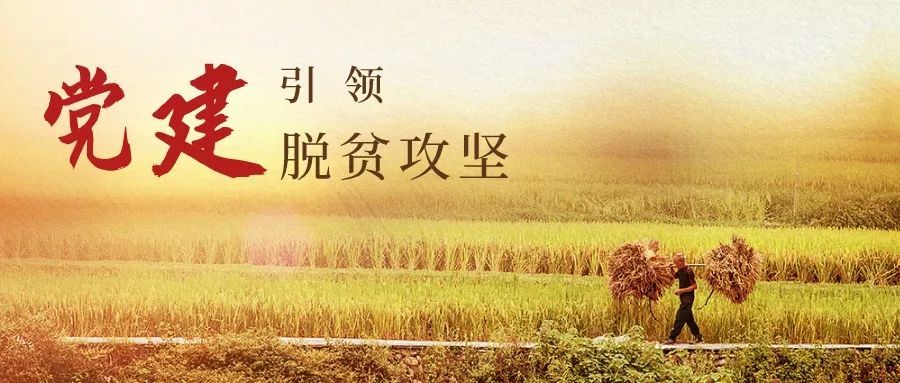 吴冀婧|过去两周我们共发表8篇原创好文章