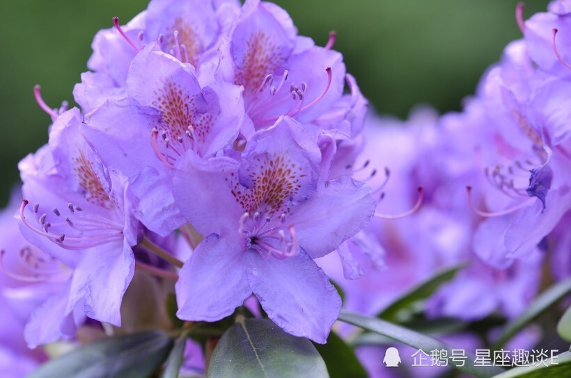 10月5日 11日星座运势 白羊换位思考 狮子大胆表白 射手桃花运旺 腾讯新闻