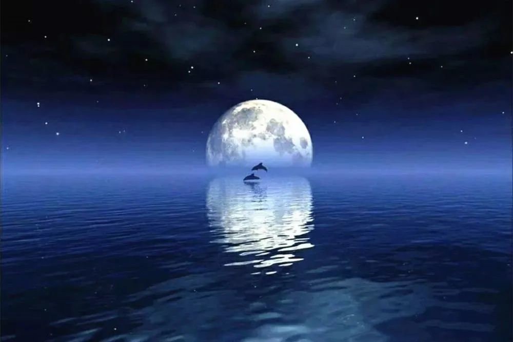 原野风|原野风朗诵《中秋夜》