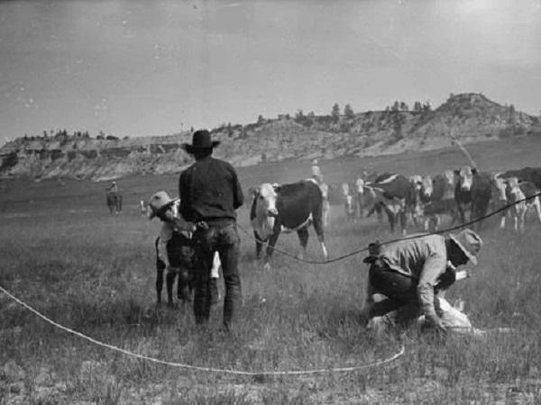 荒野大镖客2|《荒野大镖客2》牛仔个个英俊潇洒“神枪手”？真实历史让人失望