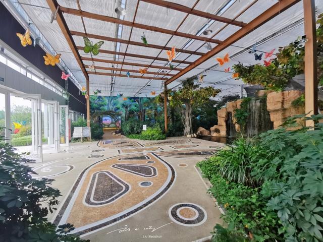 浙江湖州有亚洲最大的蝴蝶馆还是4a景区很多游客却不知道