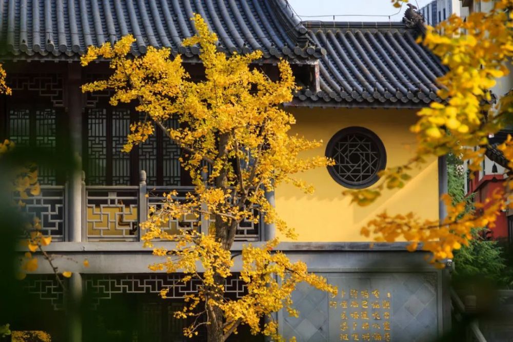 宋词|千年宋词，最美在秋天