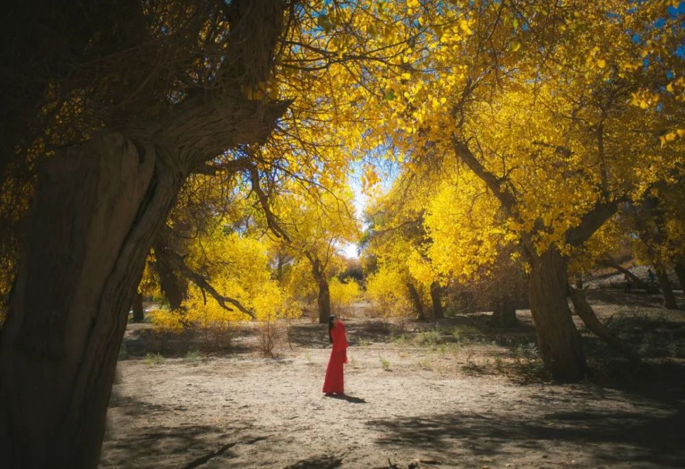 宋词|千年宋词，最美在秋天