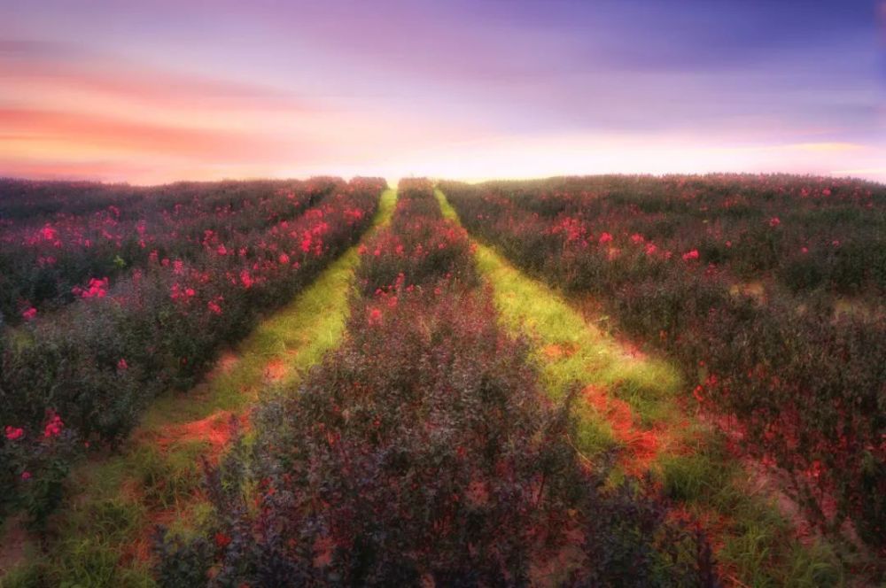 宋词|千年宋词，最美在秋天