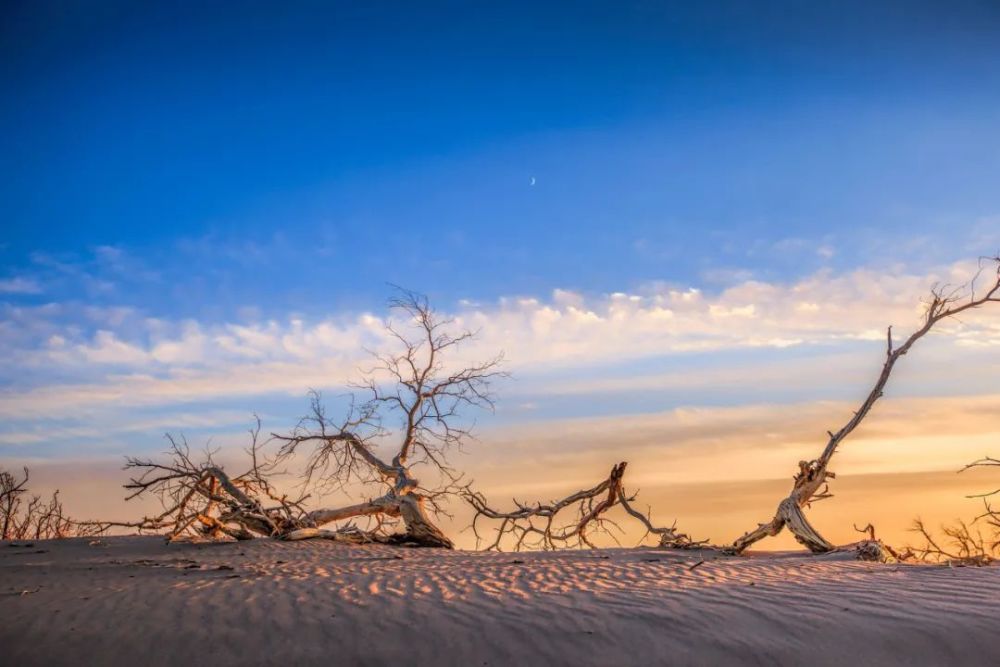宋词|千年宋词，最美在秋天