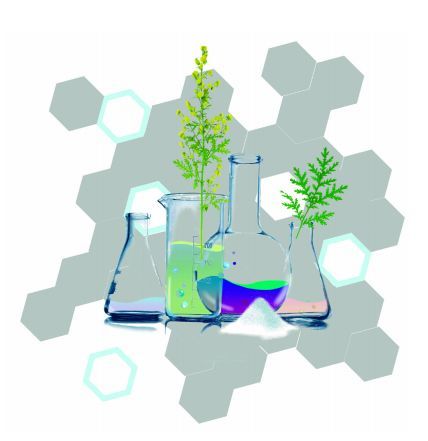青蒿素之路屠呦呦2015年10月5日
