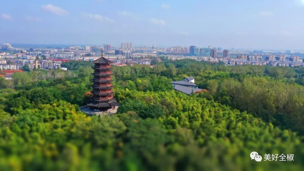 全椒人满城尽飘桂花香你闻到了吗