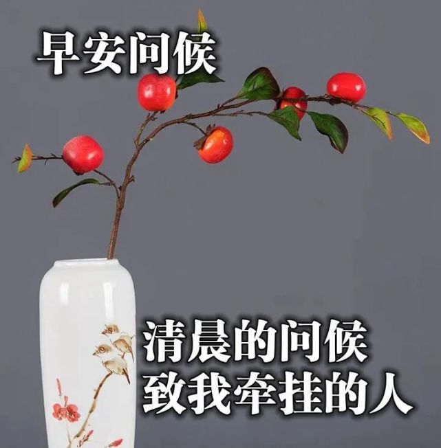 清晨最棒的正能量感悟句子摘抄,打动人心的早安励志语句