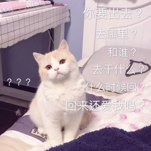 沙雕又可爱的朋友圈文案