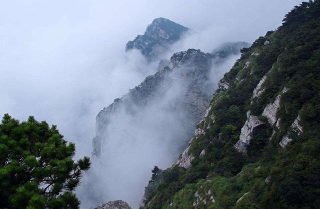 杨衡|唐代冷门诗人杨衡，位列山中四友，吟完诗居然还要长歌一曲