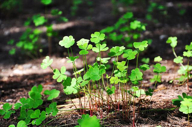10月下旬 這三個星座運勢最牛 點到名的星座快快接好運 小諸葛投資賺錢筆記