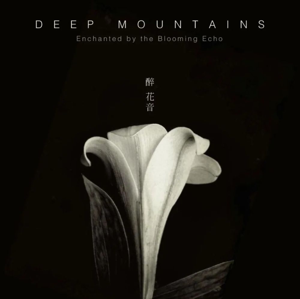 春之幻|王晓蓉：燃烧的时间碎片，引领上升