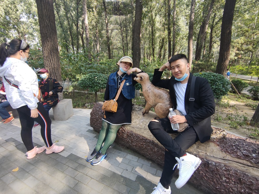 北京野生动物园|北京一家人游玩北京野生动物园攻略