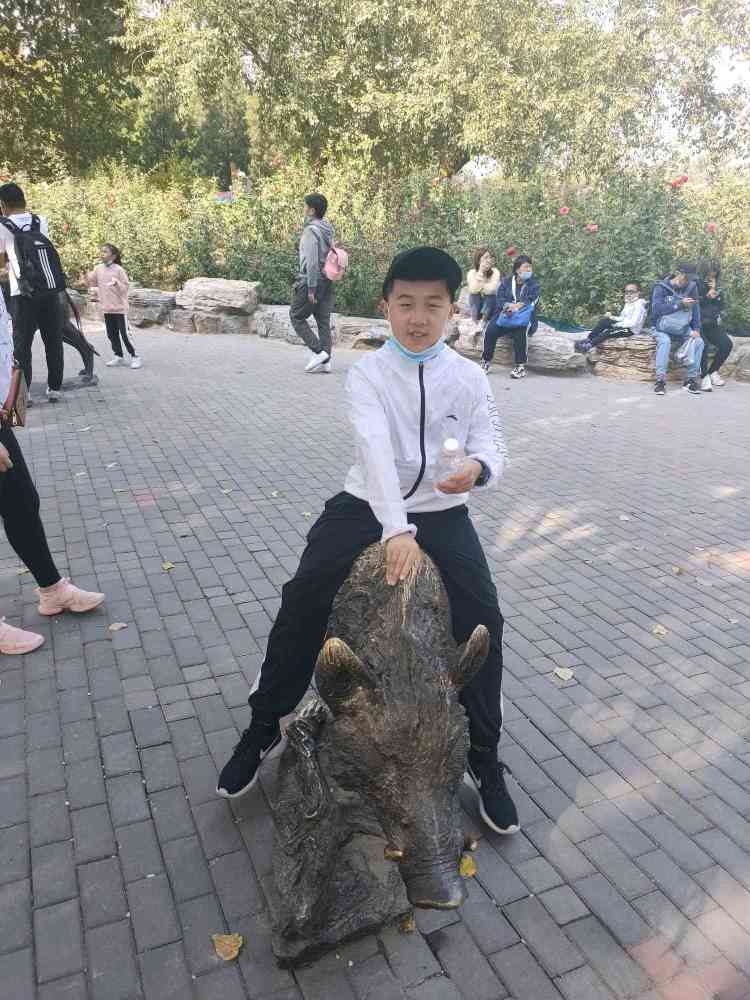 北京野生动物园|北京一家人游玩北京野生动物园攻略