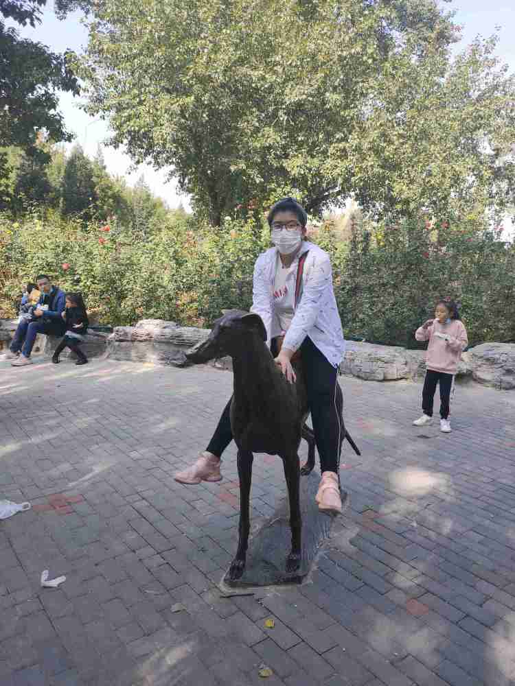 北京野生动物园|北京一家人游玩北京野生动物园攻略