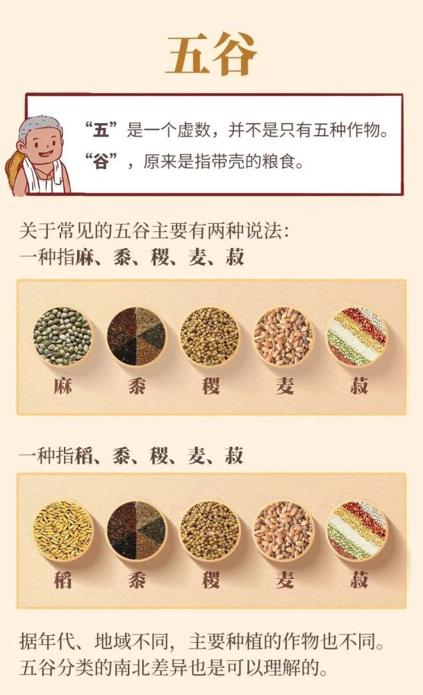【健康科普】从现在起,我不再"五谷不分"!