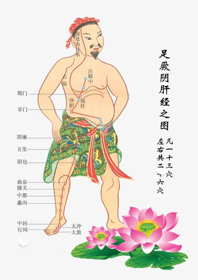 夜晚13点容易醒睡不着原来肝经在做怪只需这个动作告别失眠