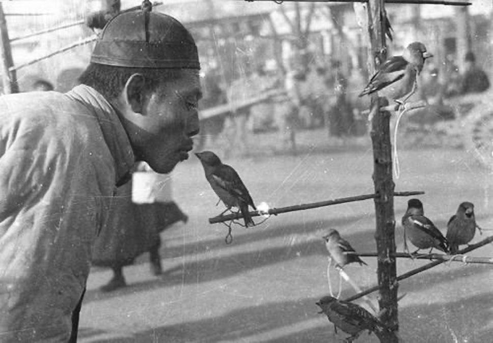 大隆福寺|隆福寺：繁华六百年的北京“旺地”
