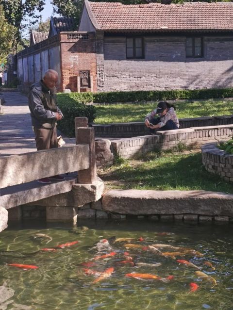 北京胡同|双节过半 北京胡同游成特色