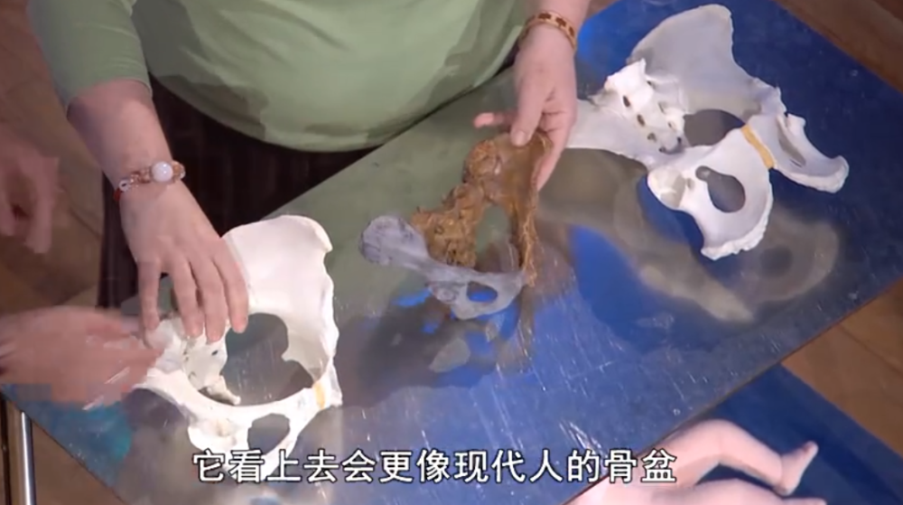 容量|人类的生理构造有什么不合理的地方？