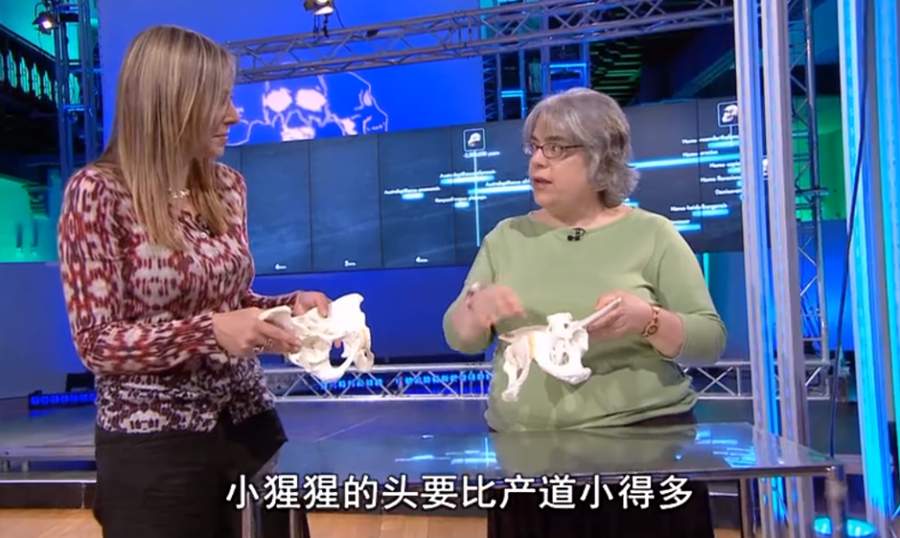 容量|人类的生理构造有什么不合理的地方？