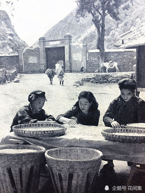 阿坝州|38年前老照片：我与阿坝制药厂相会北京的＂片断