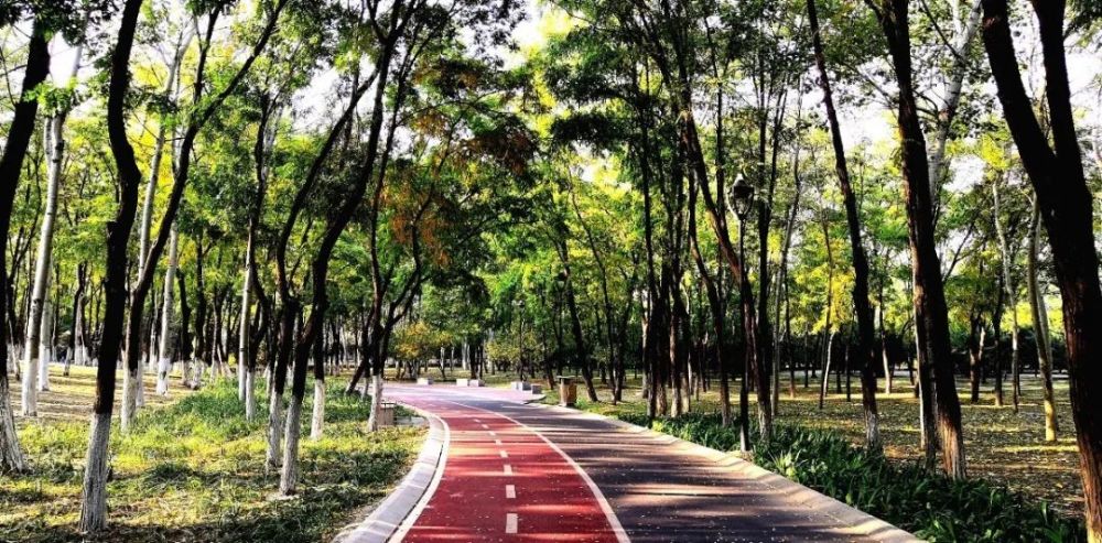 台湖万亩游憩园|亦庄新城这些打卡拍照胜地，你知道几个？