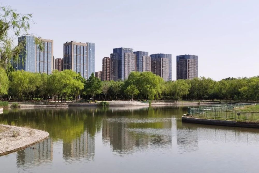 台湖万亩游憩园|亦庄新城这些打卡拍照胜地，你知道几个？