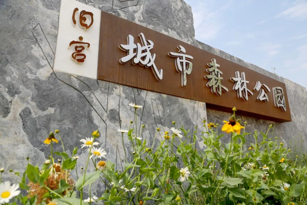 台湖万亩游憩园|亦庄新城这些打卡拍照胜地，你知道几个？