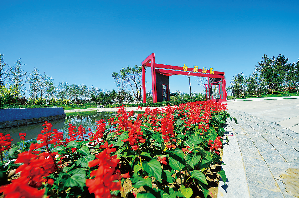 台湖万亩游憩园|亦庄新城这些打卡拍照胜地，你知道几个？