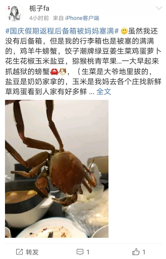 返程高峰|返程高峰已开启，后备箱又被塞满了！连这个空间也没放过