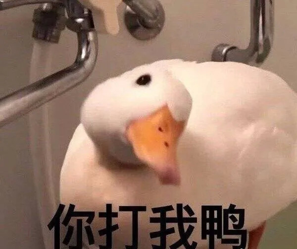 耳洞|“打完耳洞究竟能有多疼！”哈哈哈哈……网友的发言简直太真实了