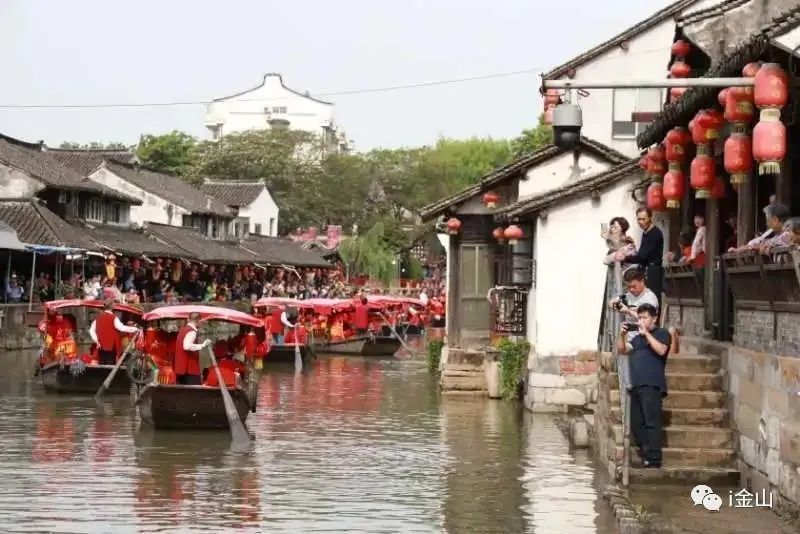 山阳田园|长假前4天金山接待游客20多万人次！看看哪些景点人气最旺？