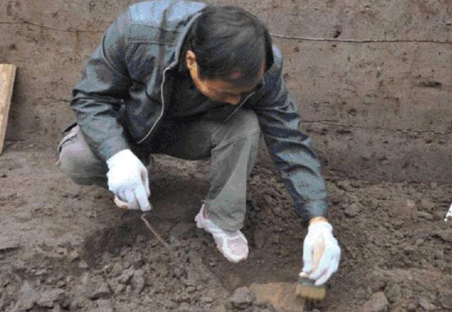 东北地区|“龙”到底存在吗？从东北到贵州，我国考古不断挖出史前“真龙”