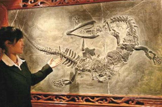 东北地区|“龙”到底存在吗？从东北到贵州，我国考古不断挖出史前“真龙”