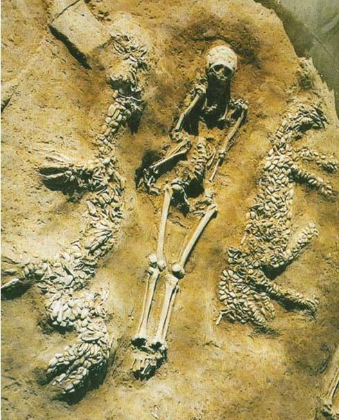 东北地区|“龙”到底存在吗？从东北到贵州，我国考古不断挖出史前“真龙”