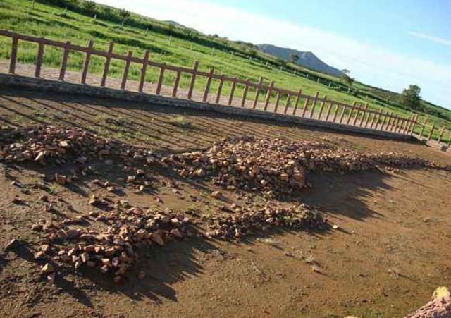 东北地区|“龙”到底存在吗？从东北到贵州，我国考古不断挖出史前“真龙”