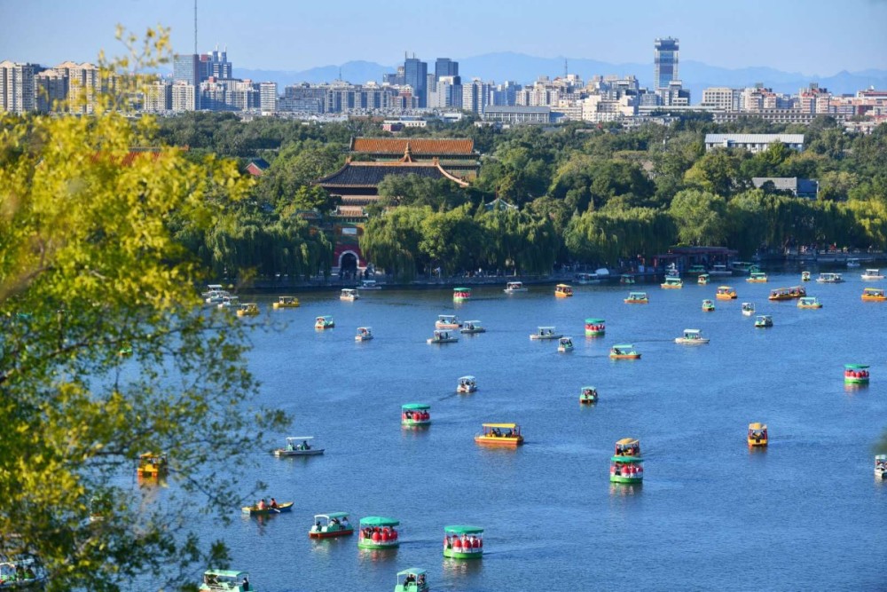 北海公园|北海公园租游船方式上新了！不用排队，扫码自助“荡起双桨”