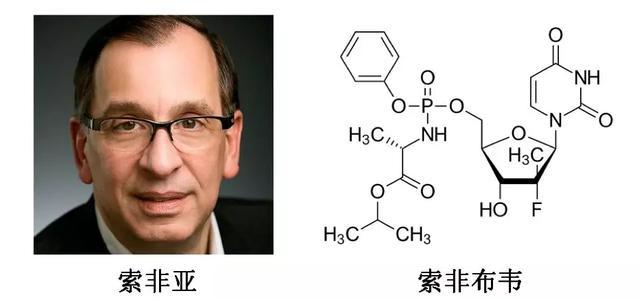 丙肝|最全解读：抗击丙肝，三位科学家获今年诺贝尔生理学或医学奖