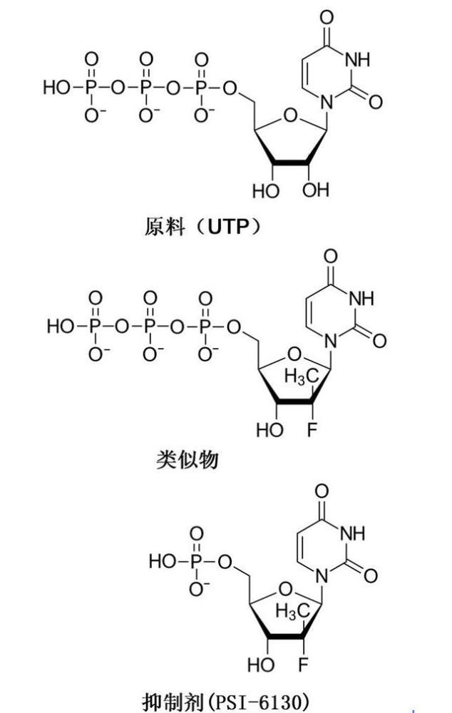 丙肝|最全解读：抗击丙肝，三位科学家获今年诺贝尔生理学或医学奖