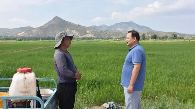 大米|亲眼见到这场景，至今难忘