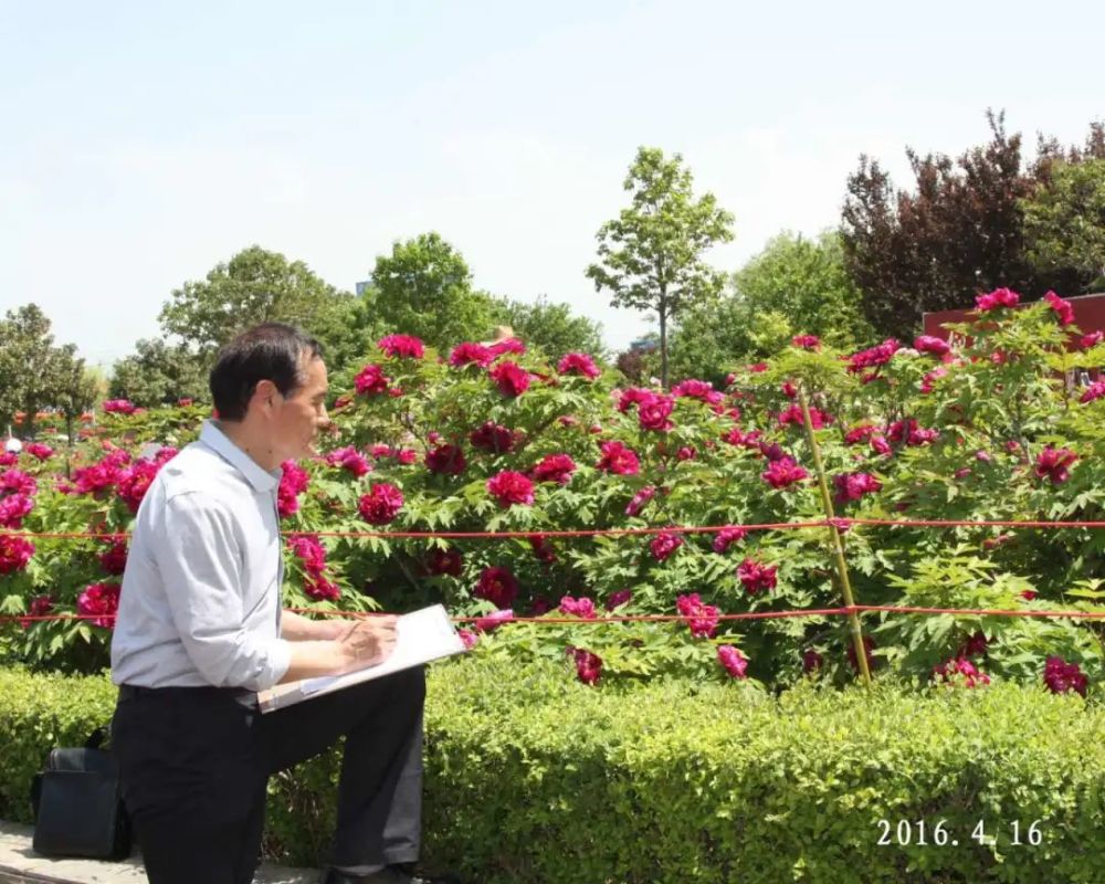 杨雨来|刘雨梅‖传情每向馨香得，不语还应彼此知——文安画家杨雨来的丹青世界
