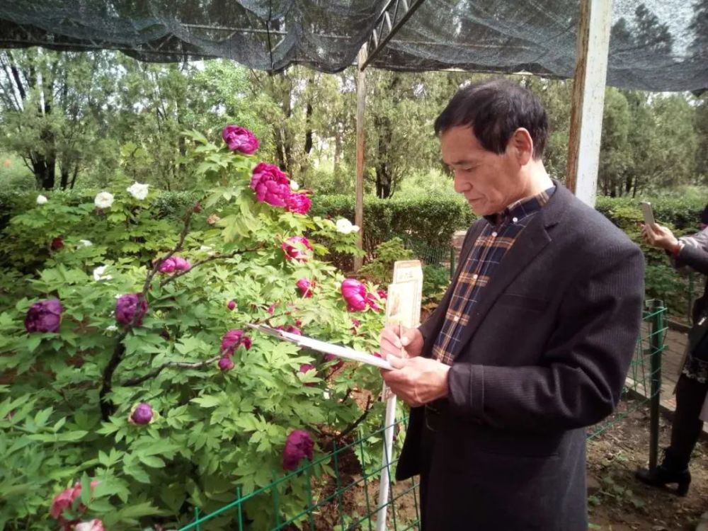 杨雨来|刘雨梅‖传情每向馨香得，不语还应彼此知——文安画家杨雨来的丹青世界