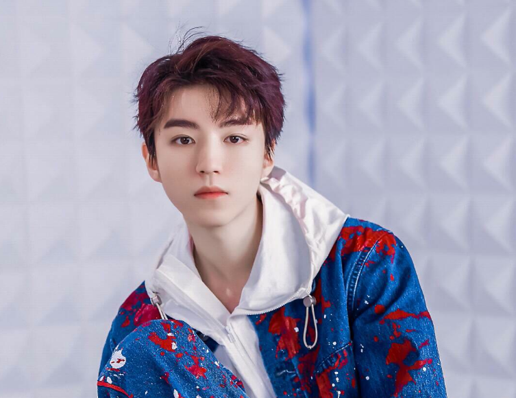 一国一个神颜美少年韩国车银优日本道枝骏佑看到中国的已成女友粉