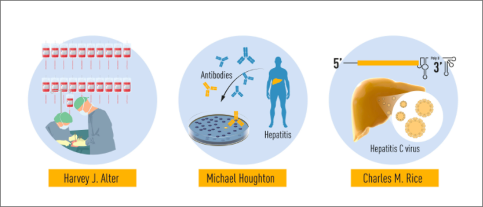 病毒|2020 诺奖成果解读：丙肝病毒是怎么被发现的？