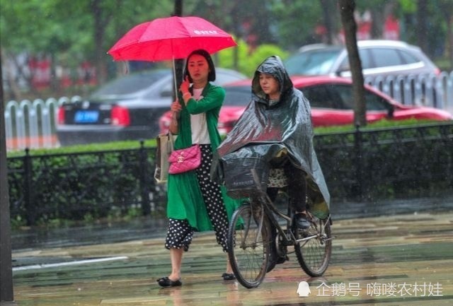 拉尼娜|“拉尼娜”来袭，农民早作准备！今年冬天冷冬还是暖冬？