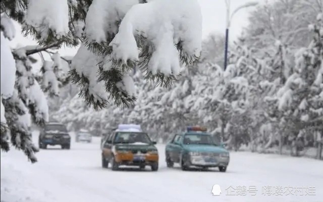 拉尼娜|“拉尼娜”来袭，农民早作准备！今年冬天冷冬还是暖冬？