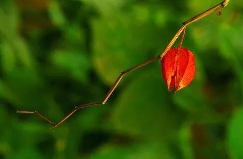 年10月6日干支运势分析 运势 财运 桃花 天喜